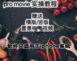 漆十二美食摄影，25​节promovie实操高手课节-最全资源库