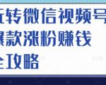 玩转微信视频号爆款涨粉赚钱全攻略,让你快速抓住流量风口,收获红利财富-最全资源库