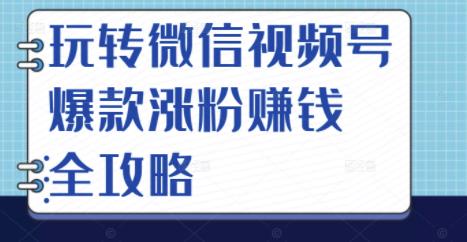 玩转微信视频号爆款涨粉赚钱全攻略,让你快速抓住流量风口,收获红利财富-最全资源库