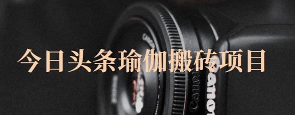 猎人社区·今日头条瑜伽搬砖项目,单号一天几十收入,可以批量操作!-最全资源库
