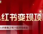 渣圈学苑·小红书虚拟资源变现项目,一起捞钱掘金价值1099元-最全资源库