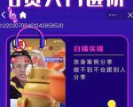 朱白板抖音带货进阶课，实操运营+主播不玩虚的-最全资源库