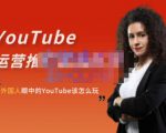 外国人眼中的YouTube该怎么玩?Elisa·YouTube运营推广实战技巧-最全资源库