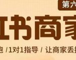贾真-小红书商家营第6期商家版,21天带货陪跑课,让商家丢掉付流量-最全资源库