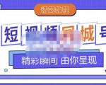 大东·短视频同城号教程,包括搭建思路,版面制作,文案内容,剪辑操作等-最全资源库