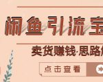 闲鱼引流宝妈粉+卖货赚钱一个月收益30000+(实操视频教程)-最全资源库