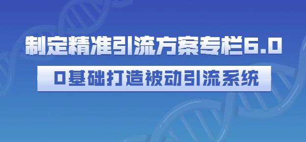 制定精准引流方案专栏6.0,0基础打造被动引流系统-最全资源库