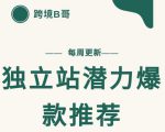【跨境B哥】独立站潜力爆款选品推荐,测款出单率高达百分之80-最全资源库