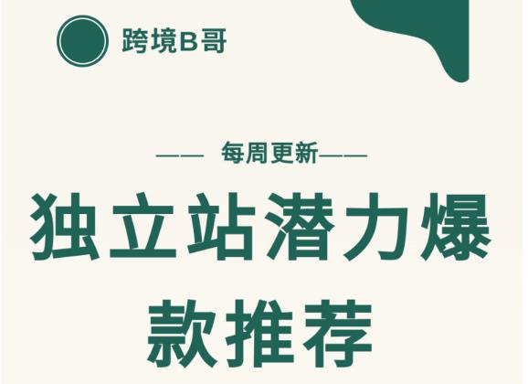 【跨境B哥】独立站潜力爆款选品推荐,测款出单率高达百分之80-最全资源库