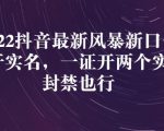 2022抖音最新风暴新口子:多开实名,一整开两个实名,封禁也行-最全资源库