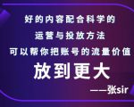 张sir账号流量增长课,告别海王流量,让你的流量更精准-最全资源库