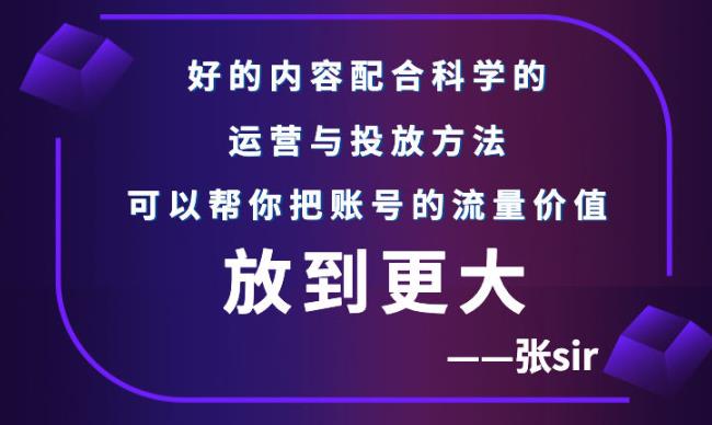 张sir账号流量增长课,告别海王流量,让你的流量更精准-最全资源库