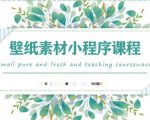 闪闪壁纸号运营教程,抓住图文风口,快速吸粉变现-最全资源库