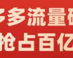 阿杰·拼多多流量破局:如何打黑标,爆款的思路,拼多多流量框架,快速抢占百亿流量-最全资源库