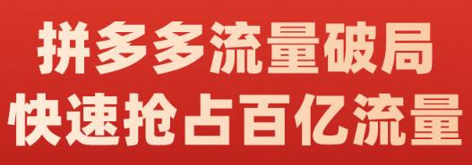 阿杰·拼多多流量破局:如何打黑标,爆款的思路,拼多多流量框架,快速抢占百亿流量-最全资源库