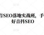 王通·抖音SEO落地实战班,手手带你做好音抖SEO-最全资源库