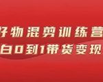 万三好物混剪训练营：小白0到1带货变现课-最全资源库