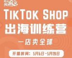 疯人院:TikTok Shop出海训练营（一店卖全球)，出海抢占全球新流量-最全资源库