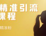 soul精准引流系列课程,每天引流100精准粉-最全资源库