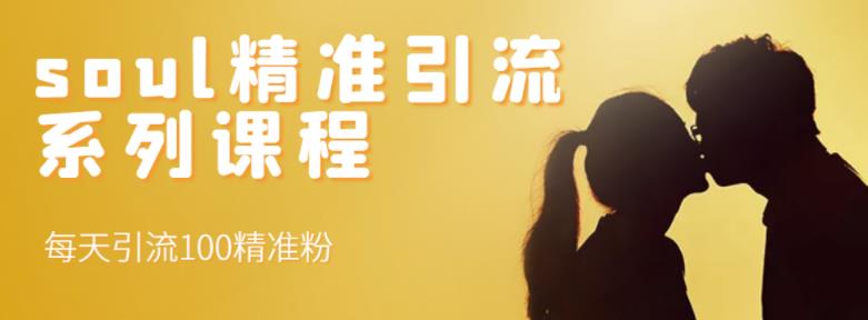 soul精准引流系列课程,每天引流100精准粉-最全资源库
