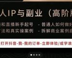 一舟一课个人IP与副业(高阶版),短视频和直播新手起号-普通人如何做好个人IP-最全资源库