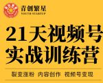 张萌21天视频号实战训练营,裂变涨粉、内容创作、视频号变现 价值298元-最全资源库
