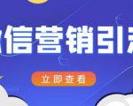 微信营销策划引流系列课程,每天引流100精准粉-最全资源库