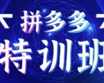 星雪教育·拼多多基础班+进阶班+突破班，用系统的学习模式快速改变现状价值3580元-最全资源库