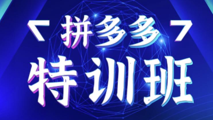 星雪教育·拼多多基础班+进阶班+突破班，用系统的学习模式快速改变现状价值3580元-最全资源库