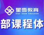 星雪教育淘系高级班,更全的运营提升方案,零基础由浅入深,店铺最新玩法-最全资源库