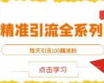 闲鱼精准引流全系列课程，每天引流100精准粉【视频课程】-最全资源库
