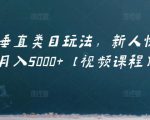 虚拟项目垂直类目玩法，新人快速起店，月入5000+【视频课程】-最全资源库