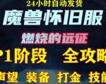 最新美服-怀旧服魔兽搬砖攻略,练级声望装备打金副本技能赚钱攻略-最全资源库