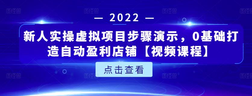 新人实操虚拟项目步骤演示,0基础打造自动盈利店铺【视频课程】-最全资源库