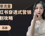 苏歆：小红书穿透式营销收割攻略，引爆流量，助你玩转小红书-最全资源库