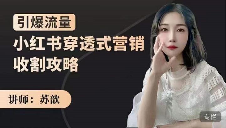 苏歆:小红书穿透式营销收割攻略,引爆流量,助你玩转小红书-最全资源库