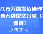 月入几万大店怎么操作？虚拟项目大店玩法分享【视频课程】-最全资源库