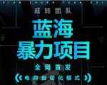 引流哥蓝海暴力躺赚项目：无需发圈无需引流无需售后，每单赚50-500（教程+线报群)-最全资源库