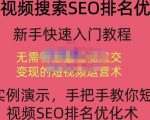 宋老师·短视频搜索SEO优化，教你10分钟创作一个短视频，三天排名上第一-最全资源库