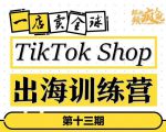TikTokShop出海训练营(第十三期),打开全球流量新思维,出海抢占全球新流量,一店卖全球-最全资源库