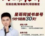 星哥同城教育书单号课程,无需出境简单操作项目稳定-最全资源库