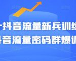 Peter抖音流量新兵训练营-破解抖音流量密码群爆训练营(新兵)-最全资源库