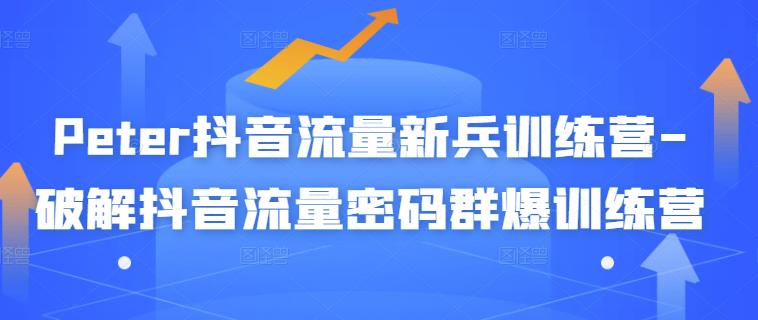 Peter抖音流量新兵训练营-破解抖音流量密码群爆训练营(新兵)-最全资源库