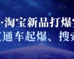 凌童·淘宝新品打爆实战班,直通车起爆、搜索起爆-最全资源库