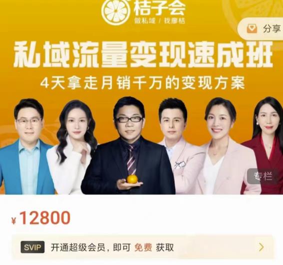 桔子会·私域流量变现速成班,4天拿走月销千万的变现方案 价值12800元-最全资源库