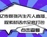 聚亿传媒张先生无人直播,教程素材话术全套打包-最全资源库