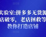 野路子实验室:拼多多无货源店群项目，新店破零，老店拯救等全方位教你打造店铺-最全资源库