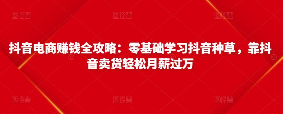 抖音电商赚钱全攻略：零基础学习抖音种草，靠抖音卖货轻松月薪过万-最全资源库