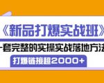 凌童《新品打爆实战班》,一套完整的实操实战落地方法,打爆链接超2000+(28节课)-最全资源库