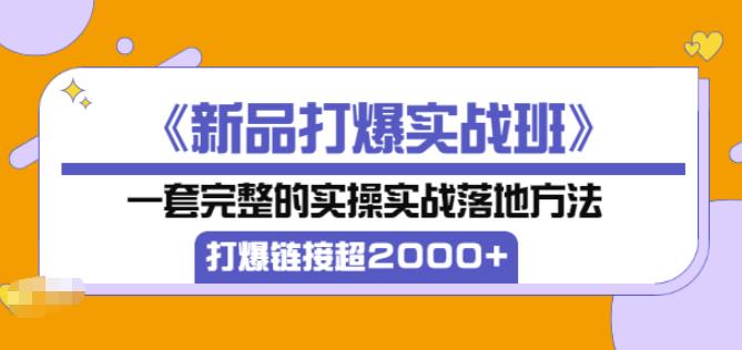 凌童《新品打爆实战班》,一套完整的实操实战落地方法,打爆链接超2000+(28节课)-最全资源库